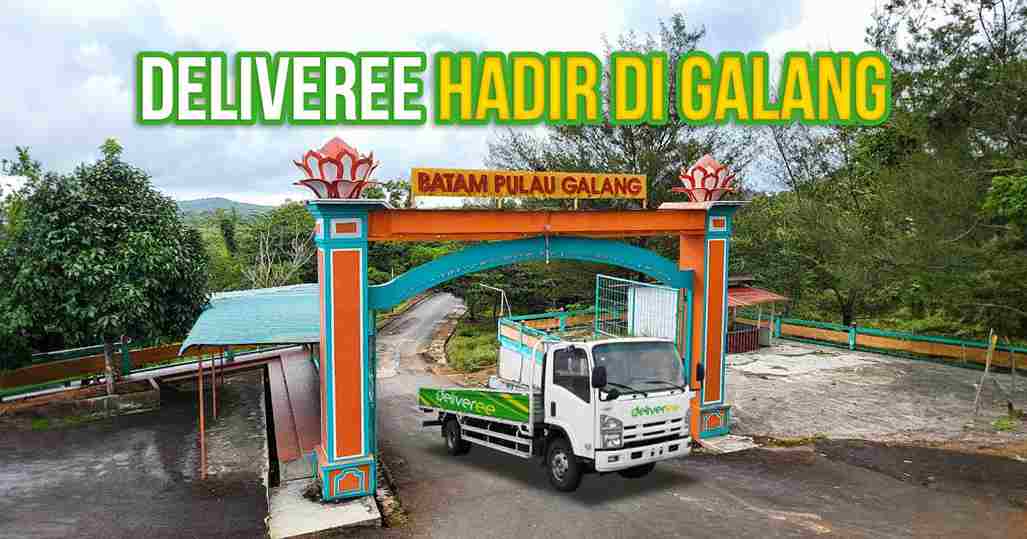 Deliveree Galang