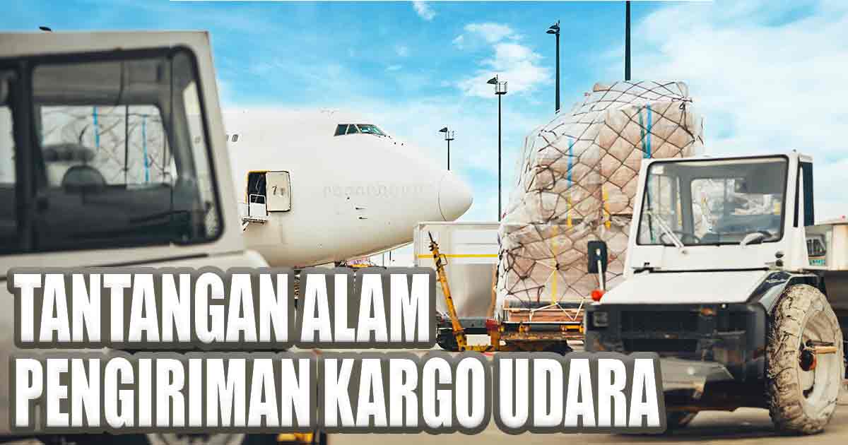 Pesawat kargo di landasan dengan kargo terbungkus jaring